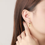 Load image into Gallery viewer, Brianna Earrings
