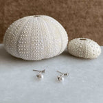Load image into Gallery viewer, sterling silver rhodium plated pearl jacket earrings
